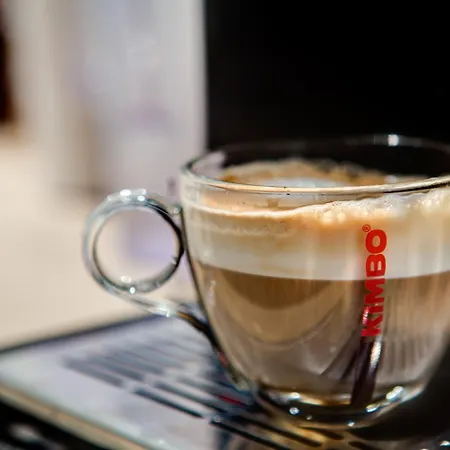 酒店 萨洛里亚酒店