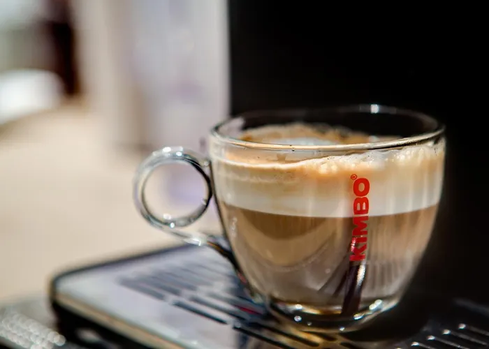 酒店 萨洛里亚酒店